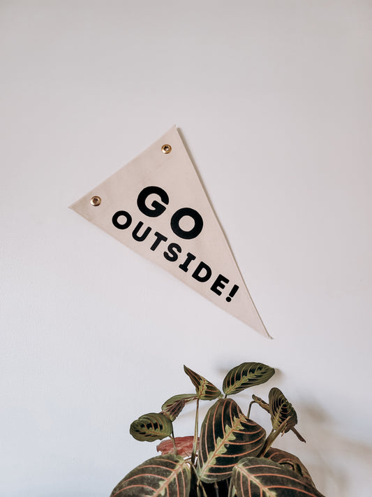 Custom Triangle Pennant